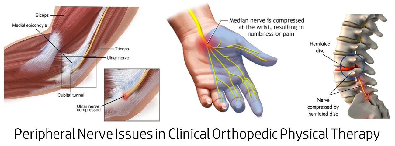 「直播視訊課程」淺談