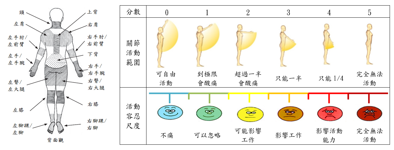 肌肉骨骼症狀調查表