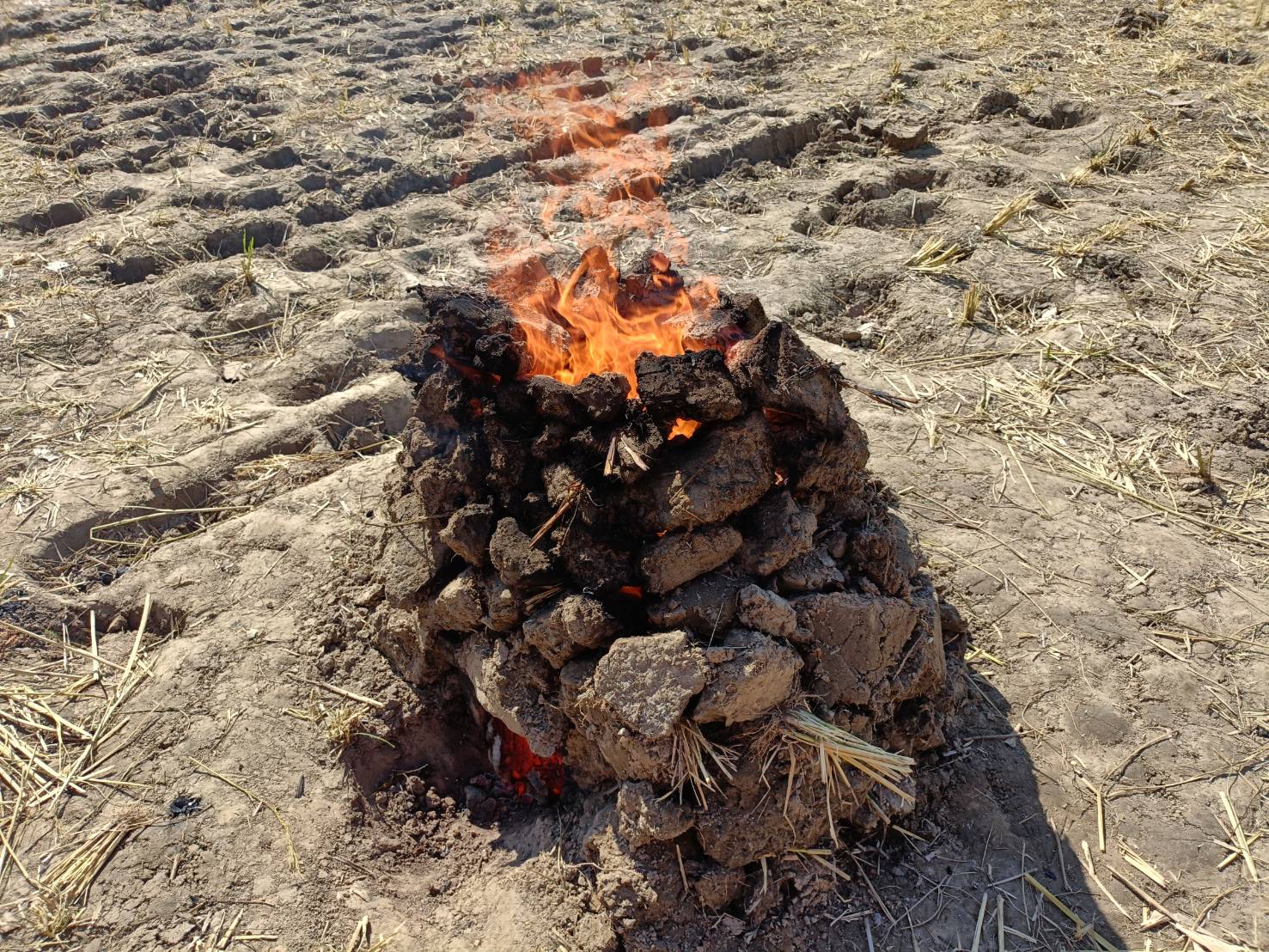 河背庒農園 —12/