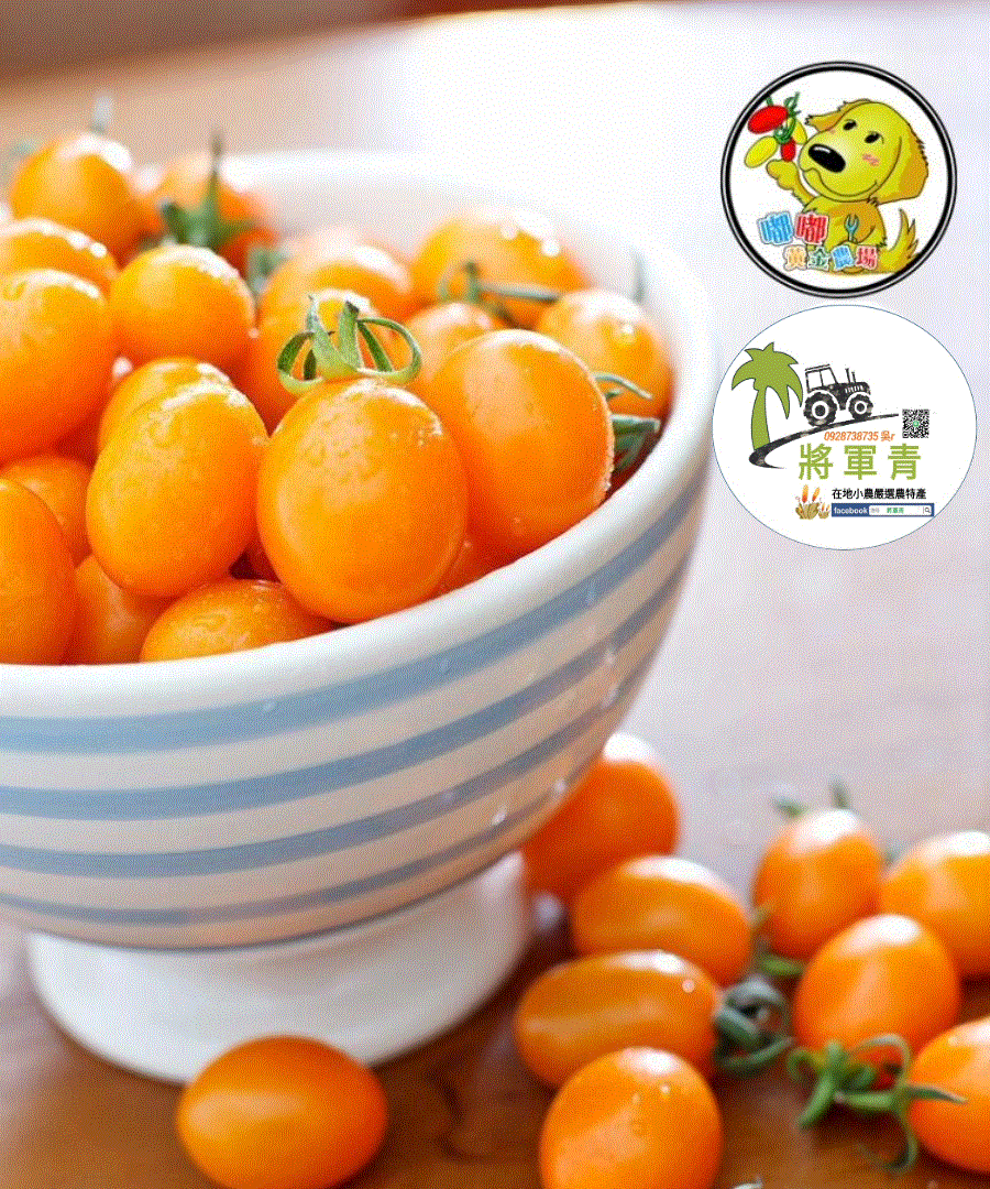 將軍青小蕃茄(202