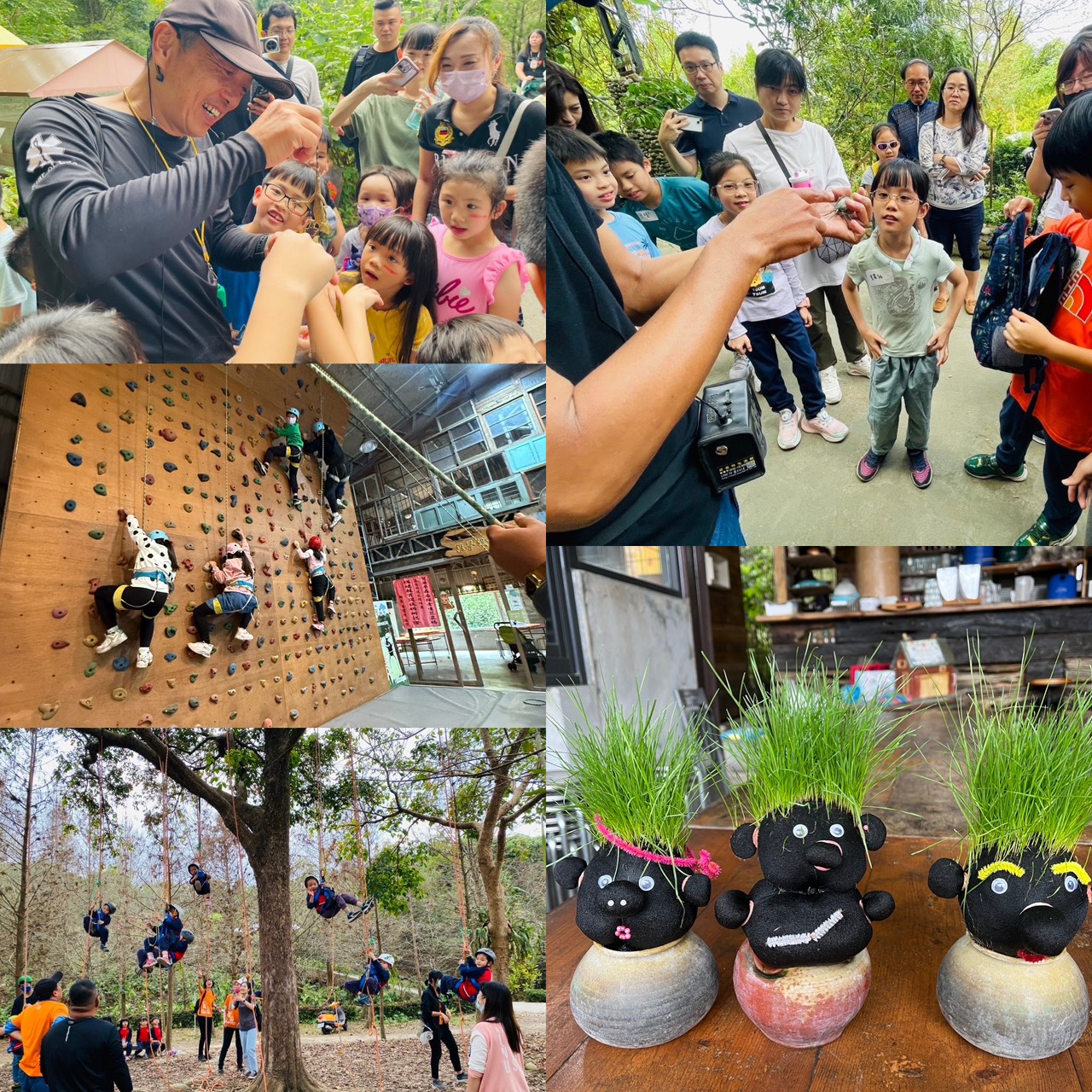 🐎 🐎 🐎 馬年馬運