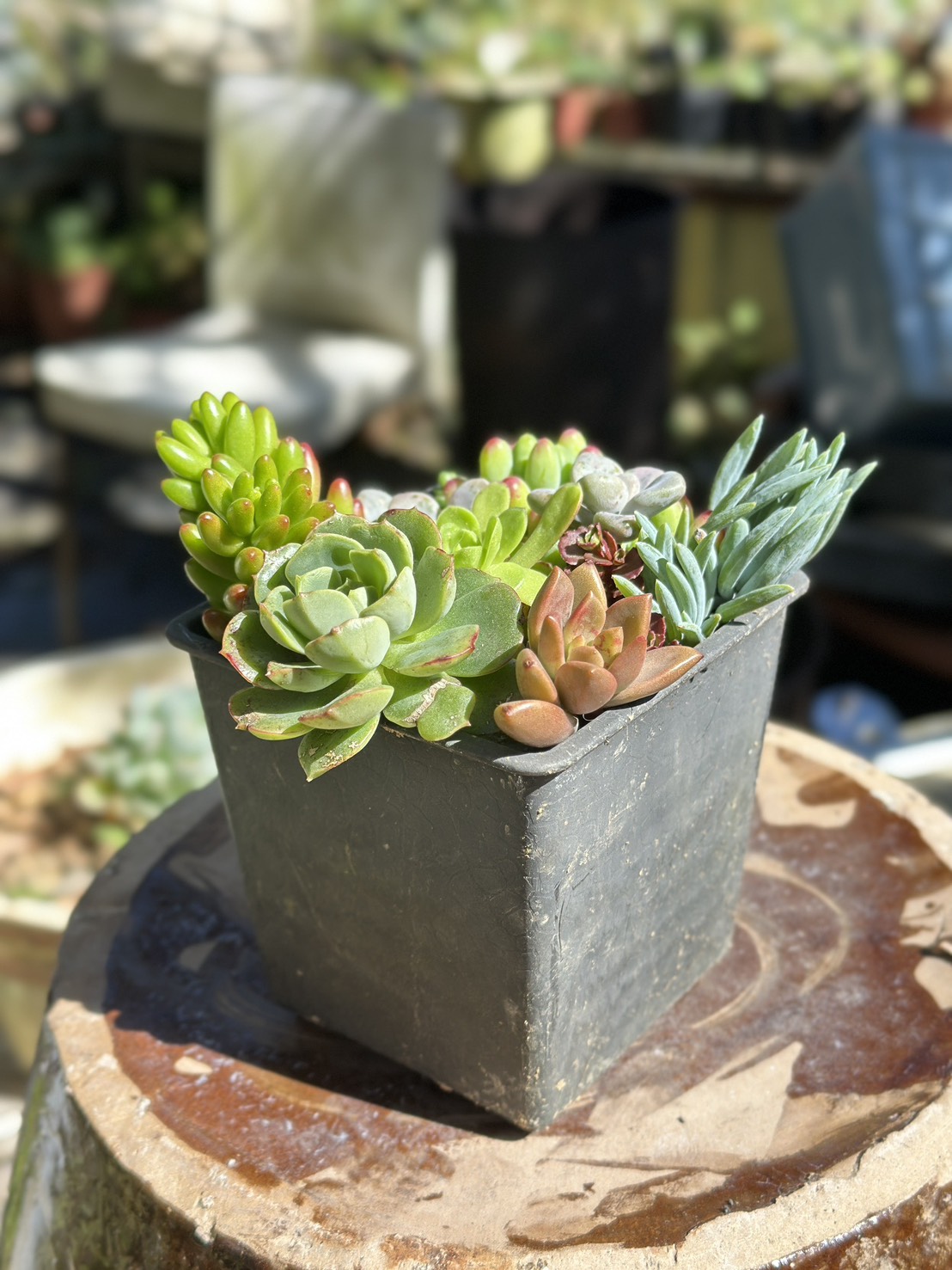 2025和平區觀光季