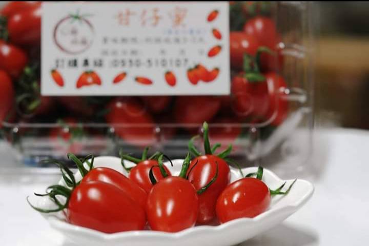 貝爾梅爾溫室果園玉女