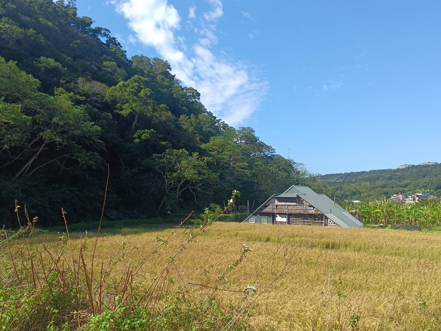 2026水牛學校 冬