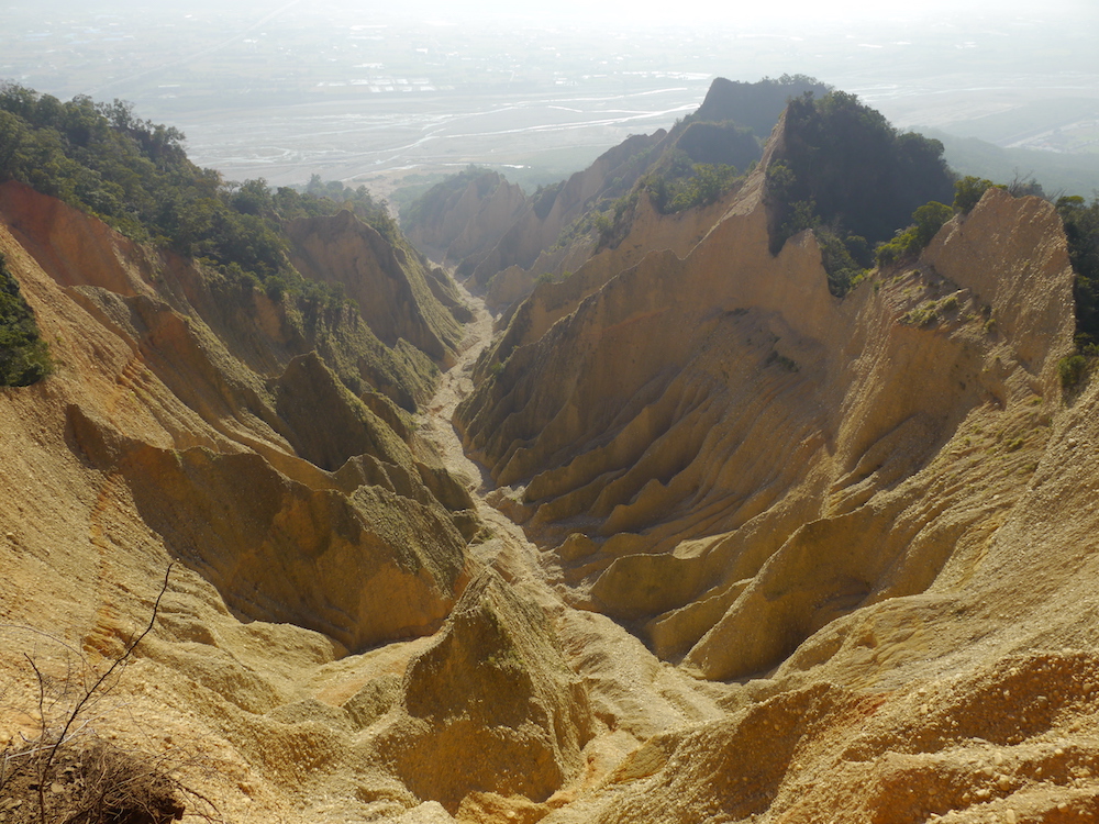 2026 野孩子森林
