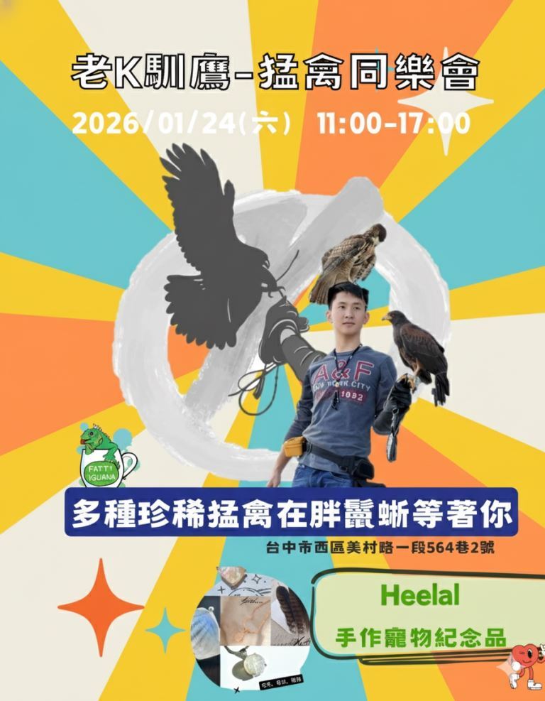 【老K馴鷹 x 胖鬣