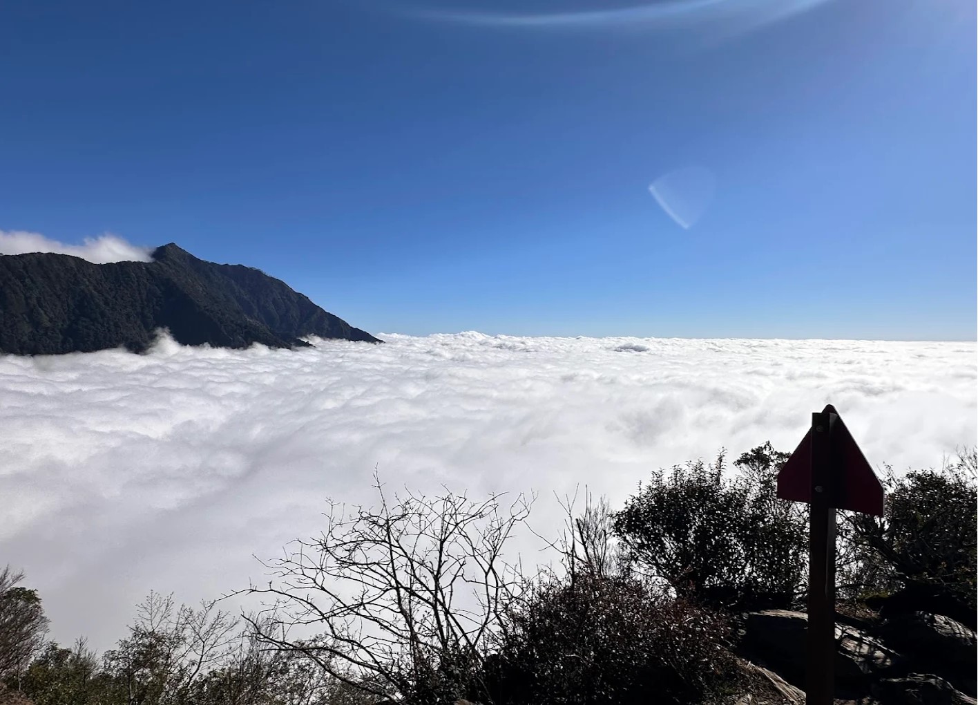 屏警登山會115年檜