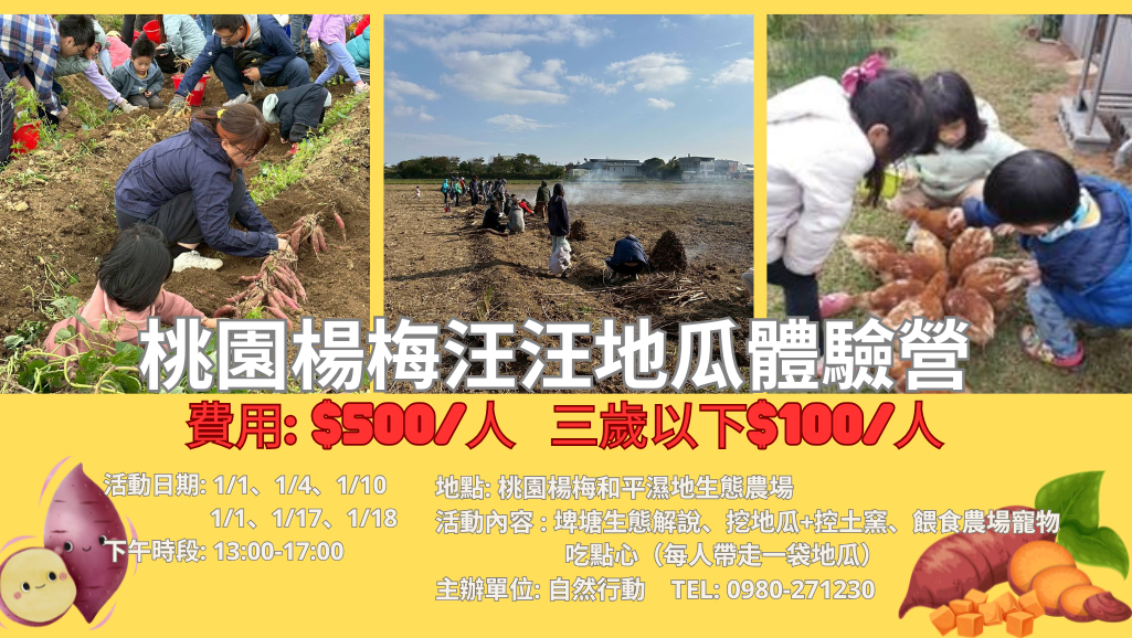 汪汪地瓜控窯體驗