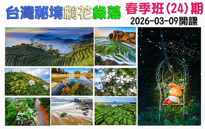 台灣秘境之桐花綠藻秘
