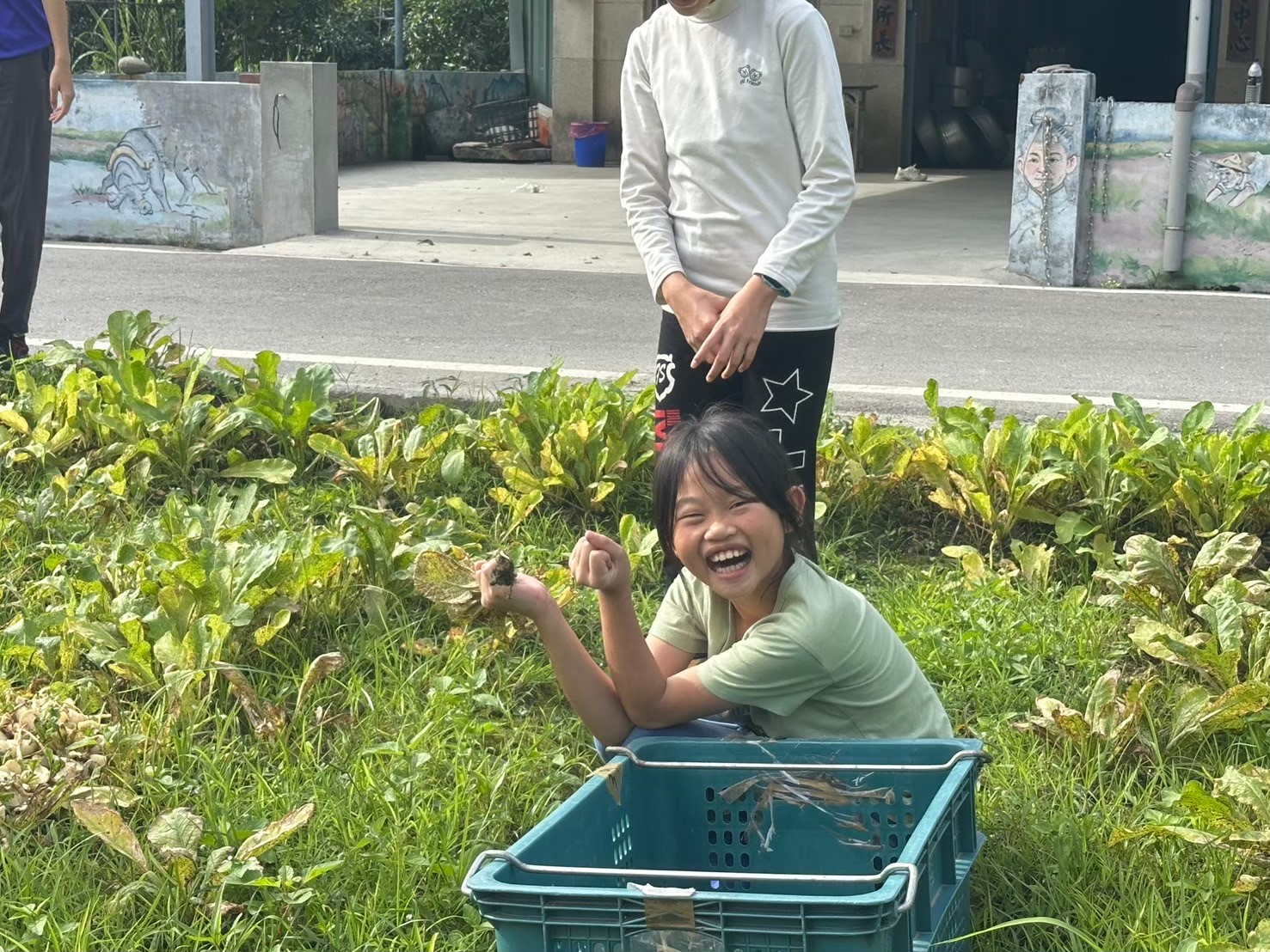 【美濃白玉趣】尋找田