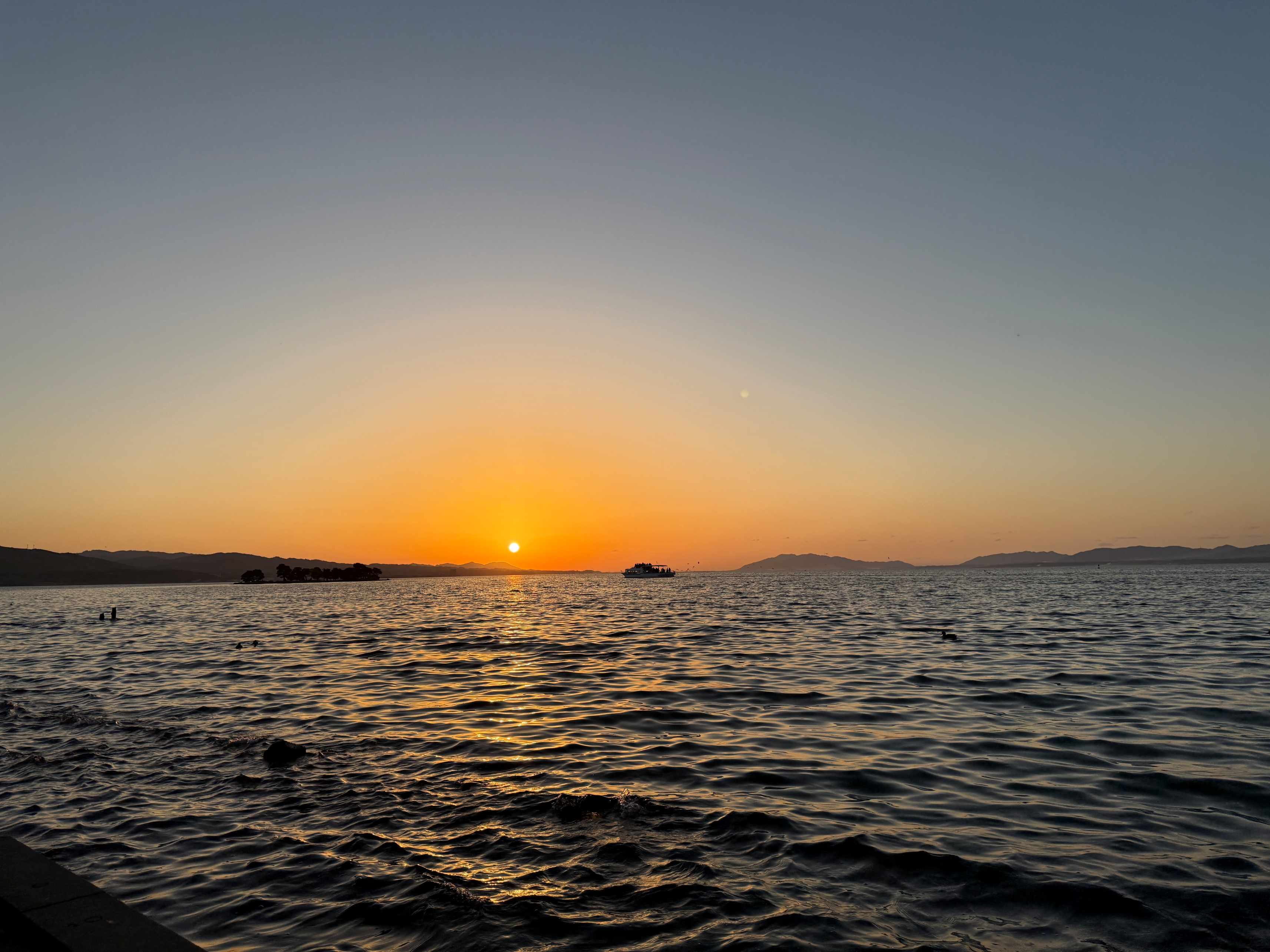 長照機構業務負責人行