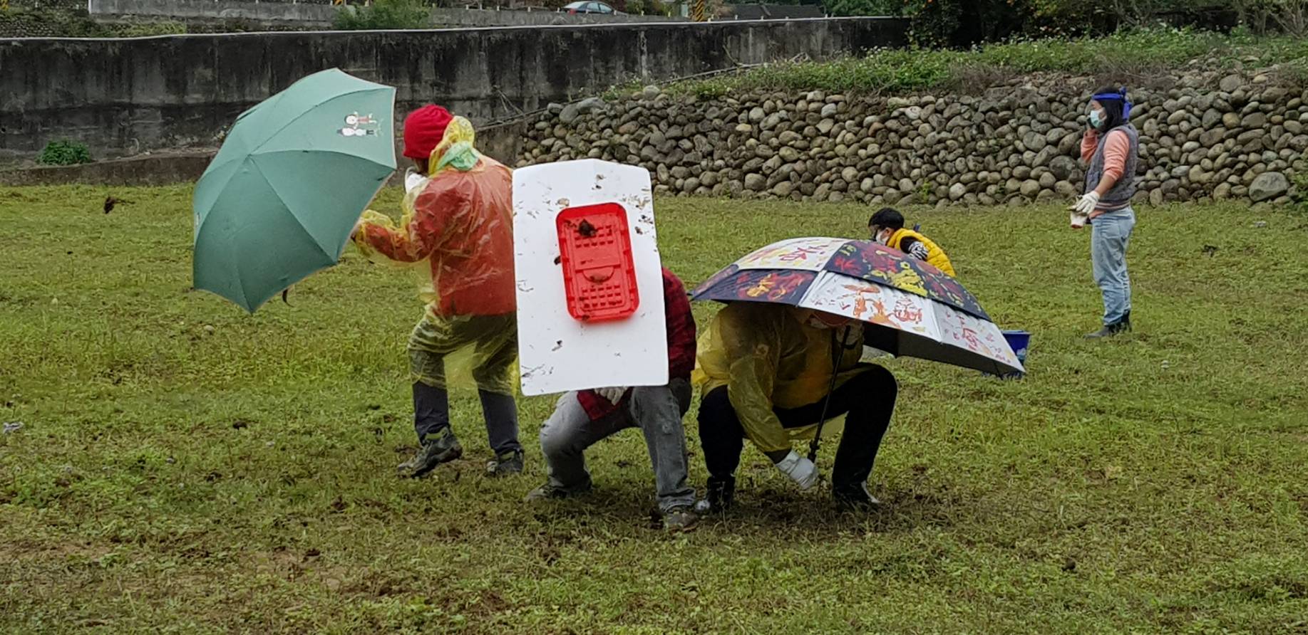 水牛學校丟牛糞炸邯鄲