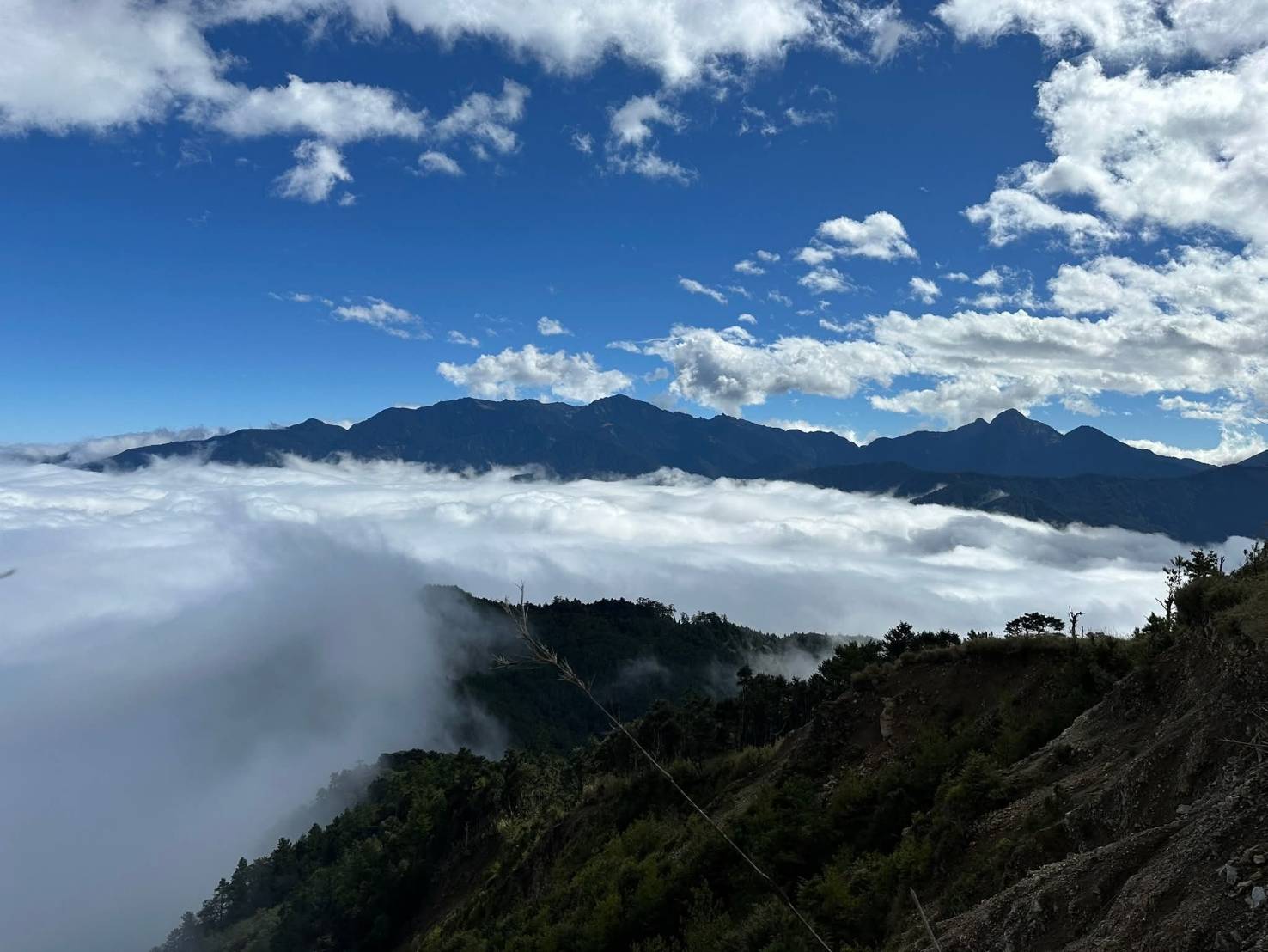 【新竹市健行登山協會