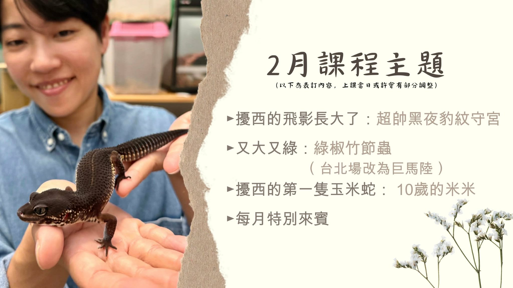 『昆蟲擾西上課了！』