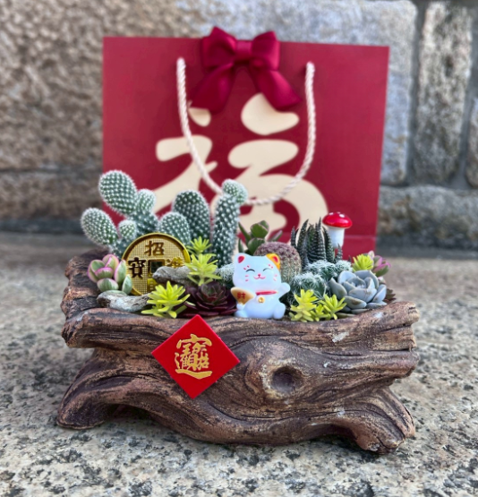 金門縣林務所115年