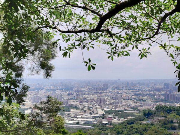 屏警登山會115年三