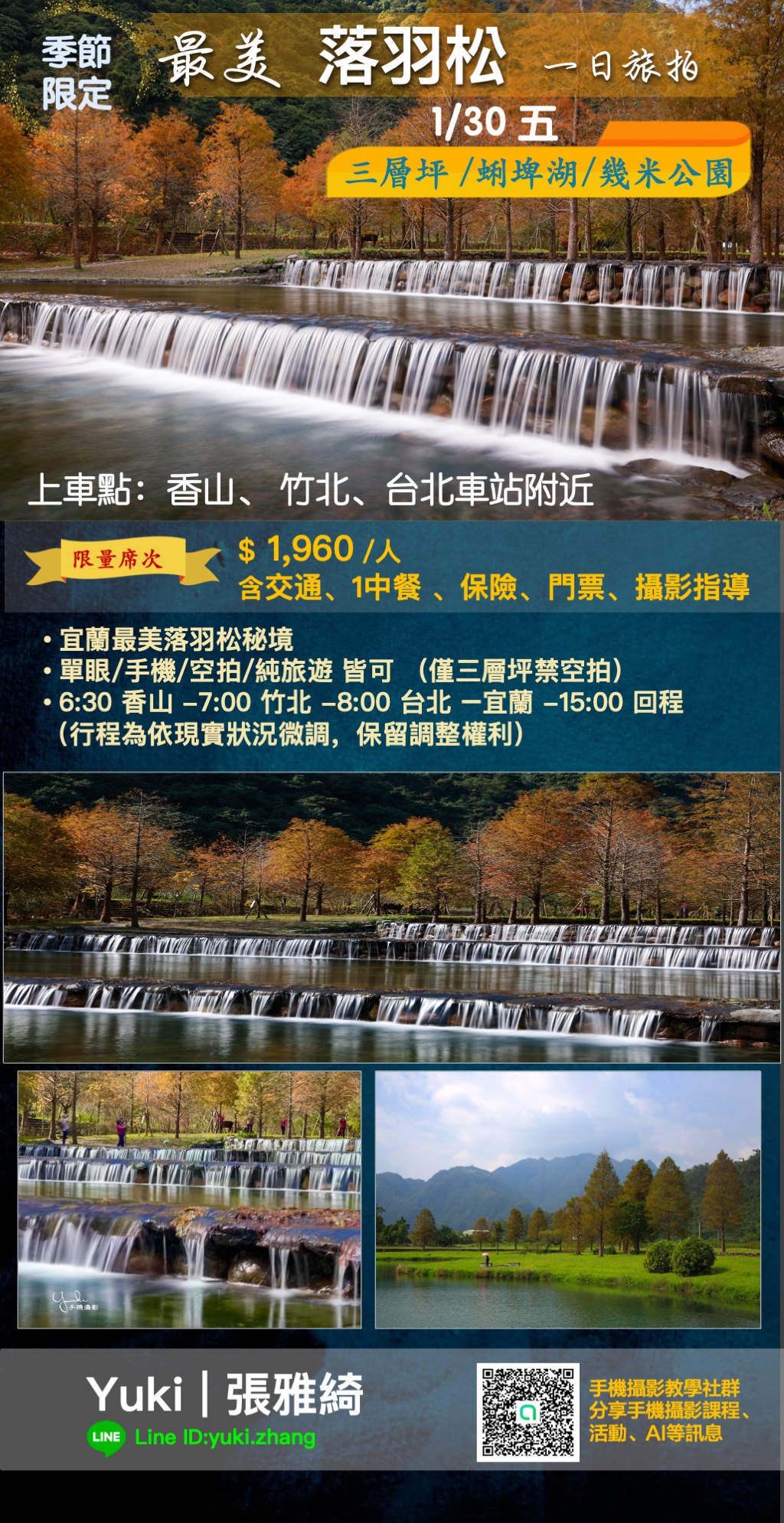 最美落羽松三層坪 一