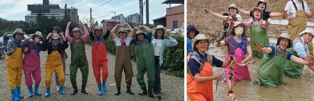 2026-蓮藕秋收食