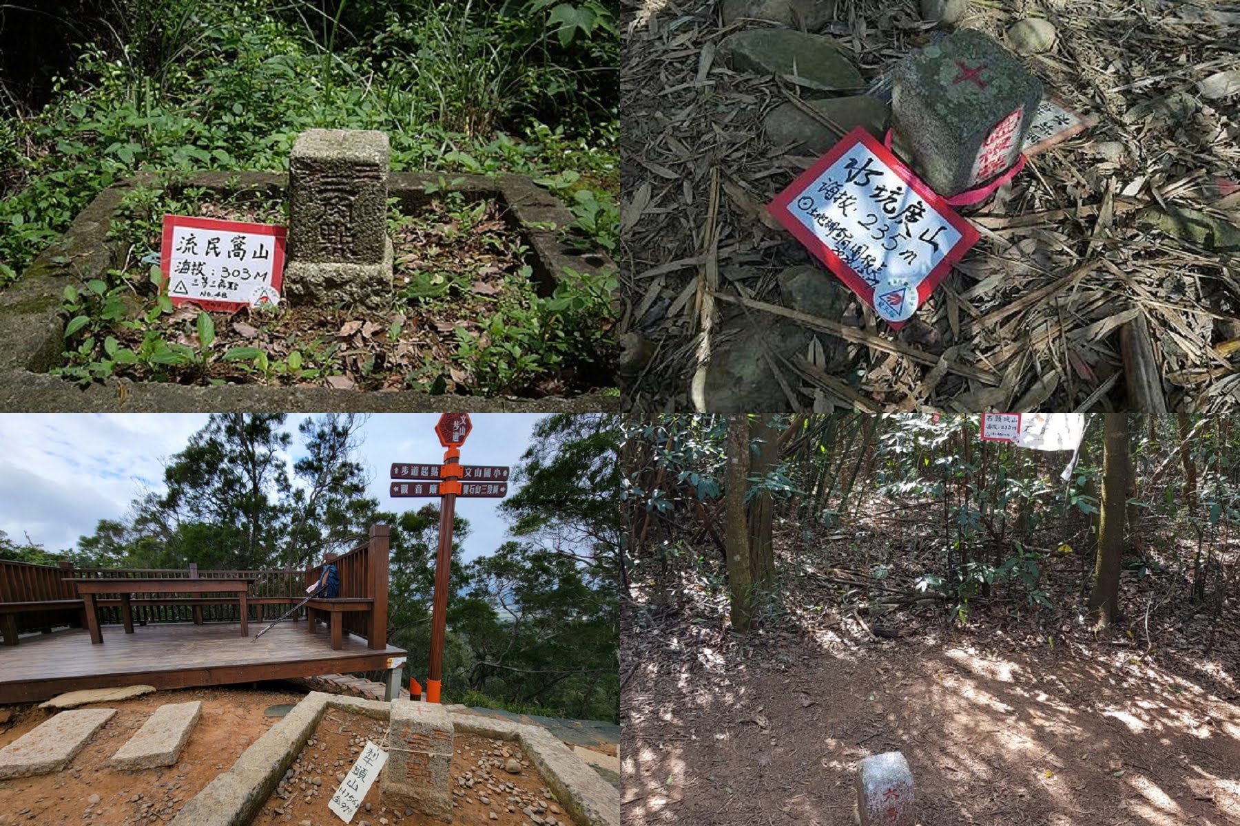 【新竹市健行登山協會