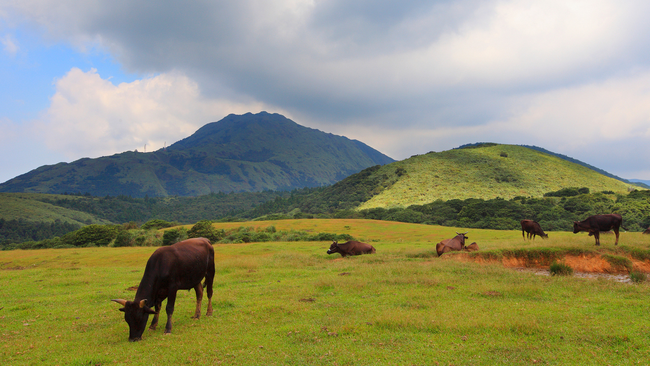 【新竹市健行登山協會