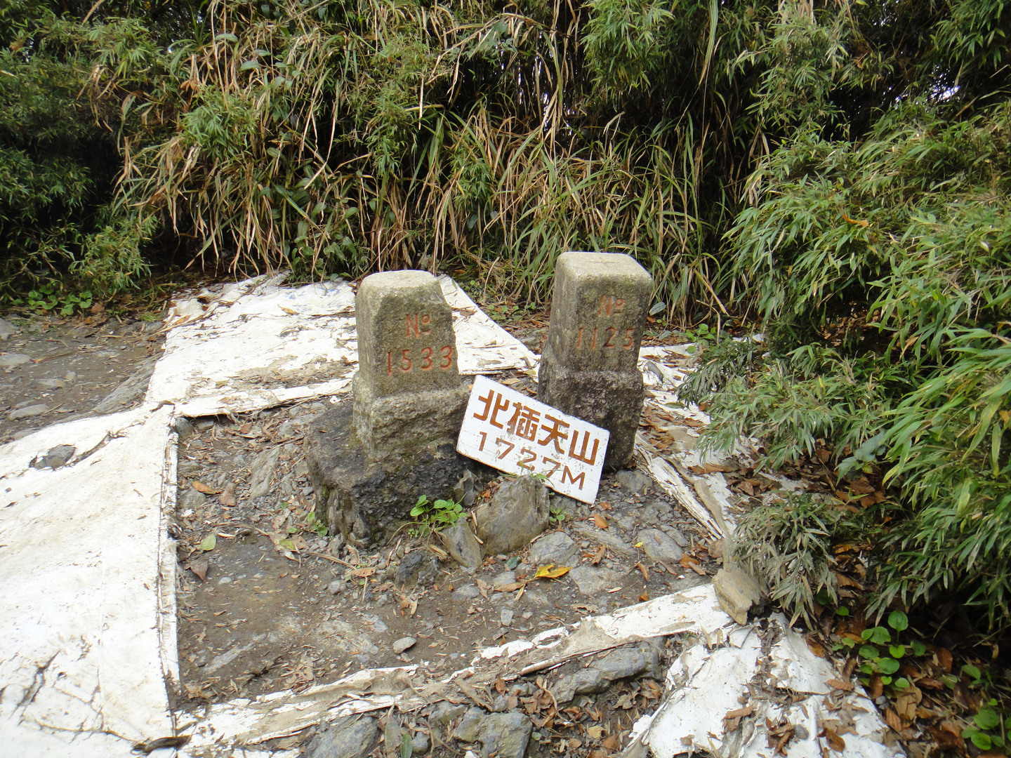 【新竹市健行登山協會