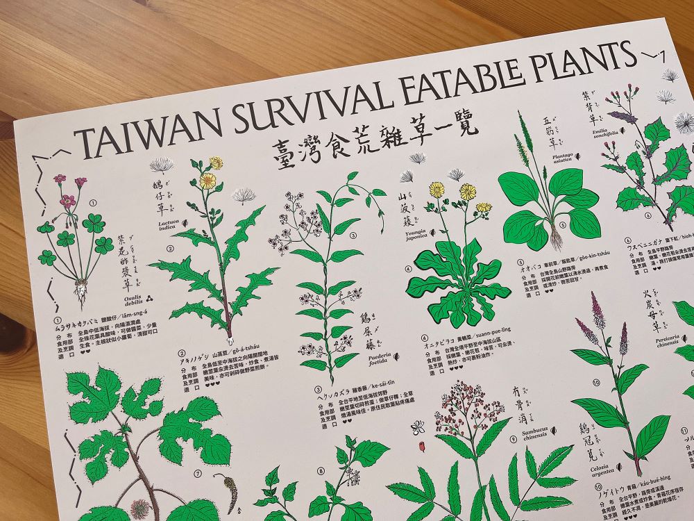 〈臺灣食荒雜草一覽〉