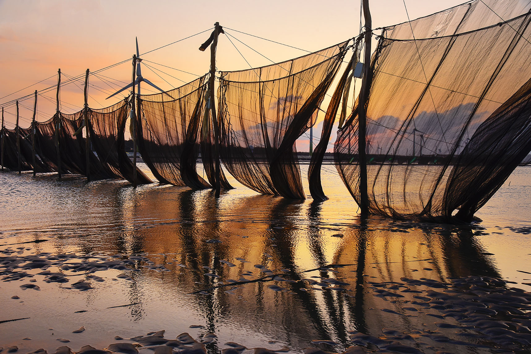 2/7莊正原老師中港