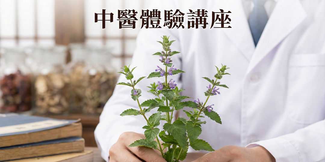 🌿 中醫入門課程推薦