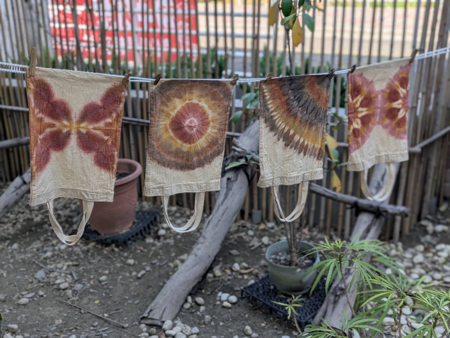 臺中城市郊山探旅活動