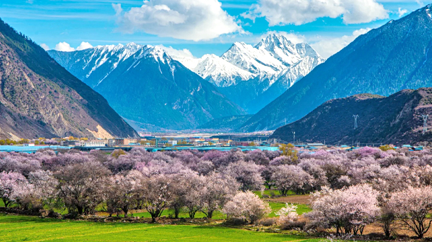 西藏 精選旅遊專區