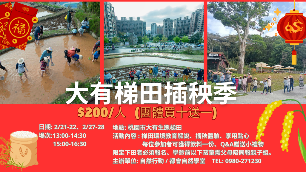 大有梯田都市農夫插秧