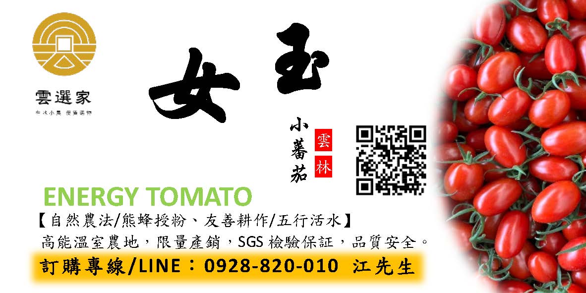 【雲選家】玉女小蕃茄