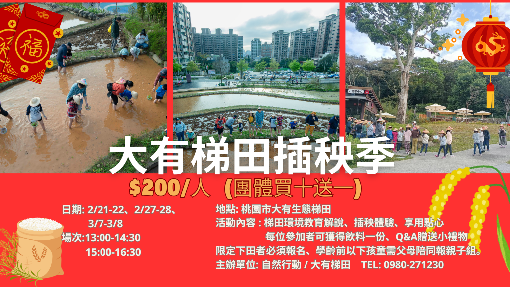 大有梯田都市農夫插秧