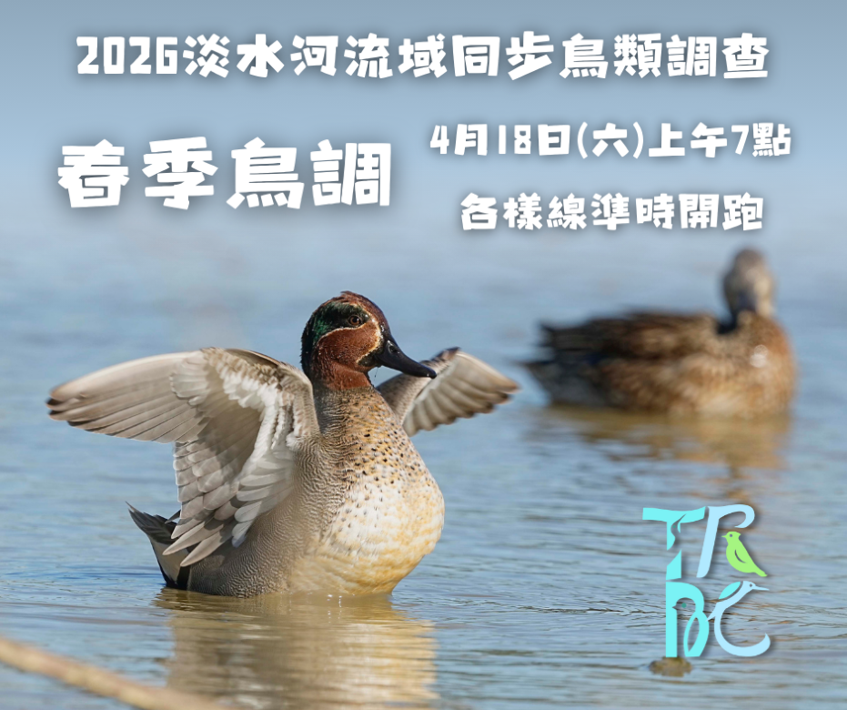 2026年淡水河同步