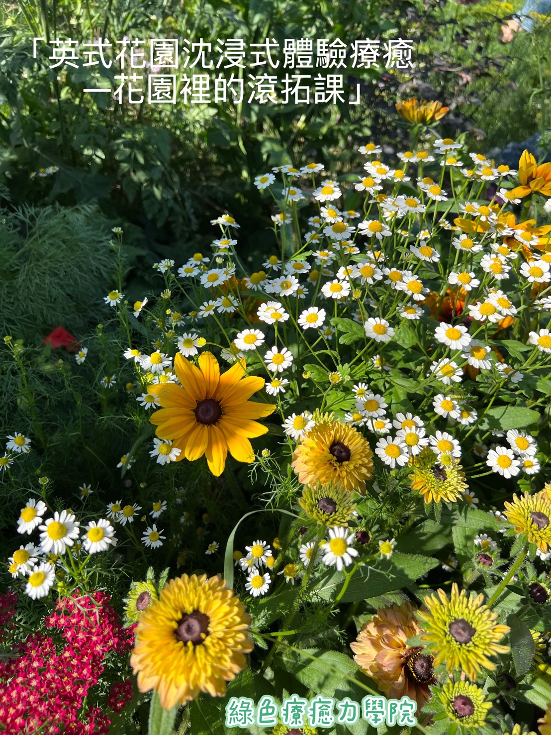 「英式花園沉浸式療癒