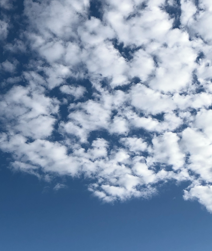 🌿 綠色生活覺察嚮導