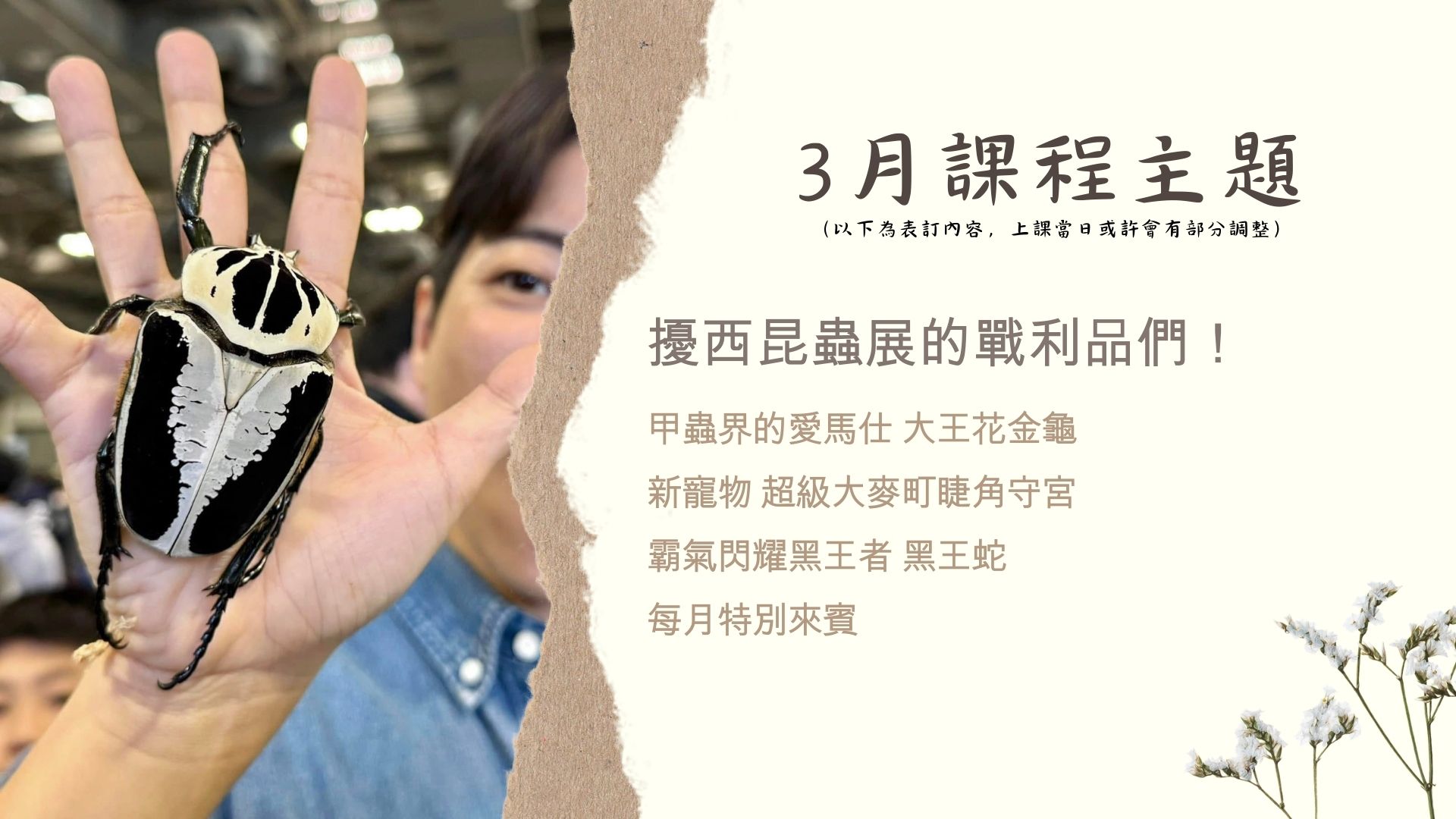 『昆蟲擾西上課了！』