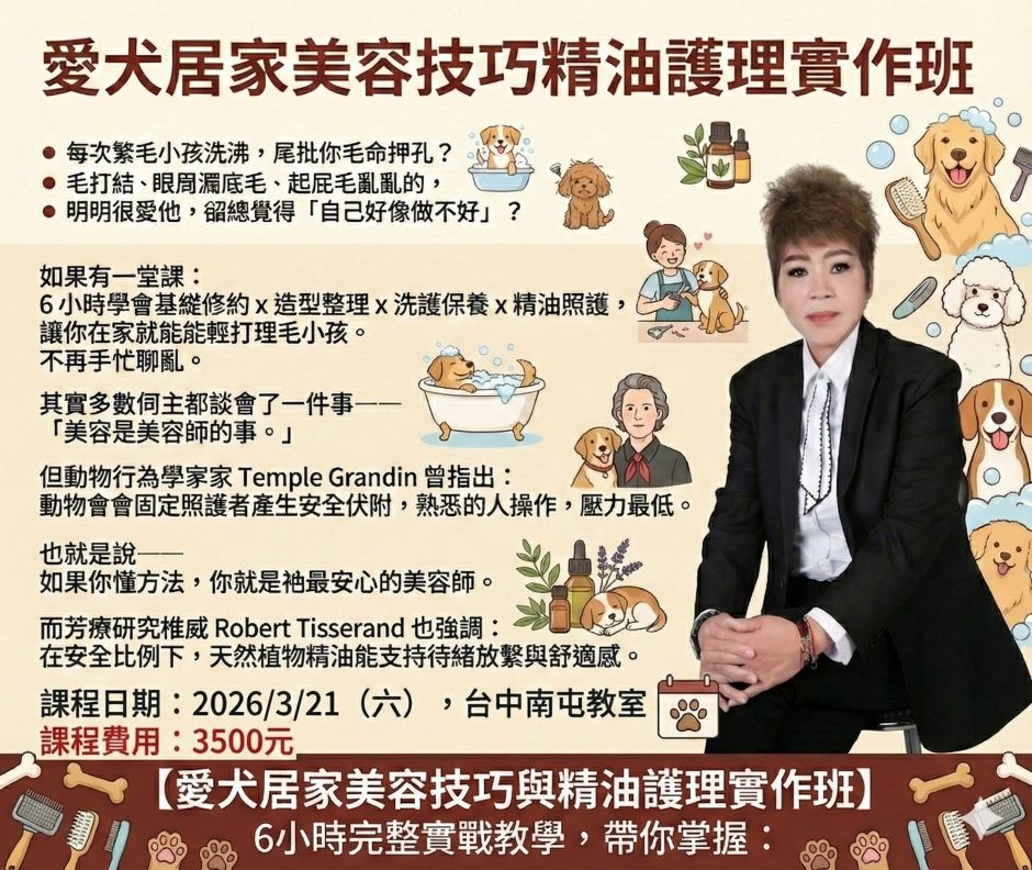 愛犬居家美容技巧與精