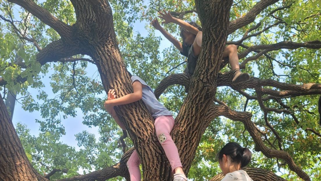 2026春夏學季 ※