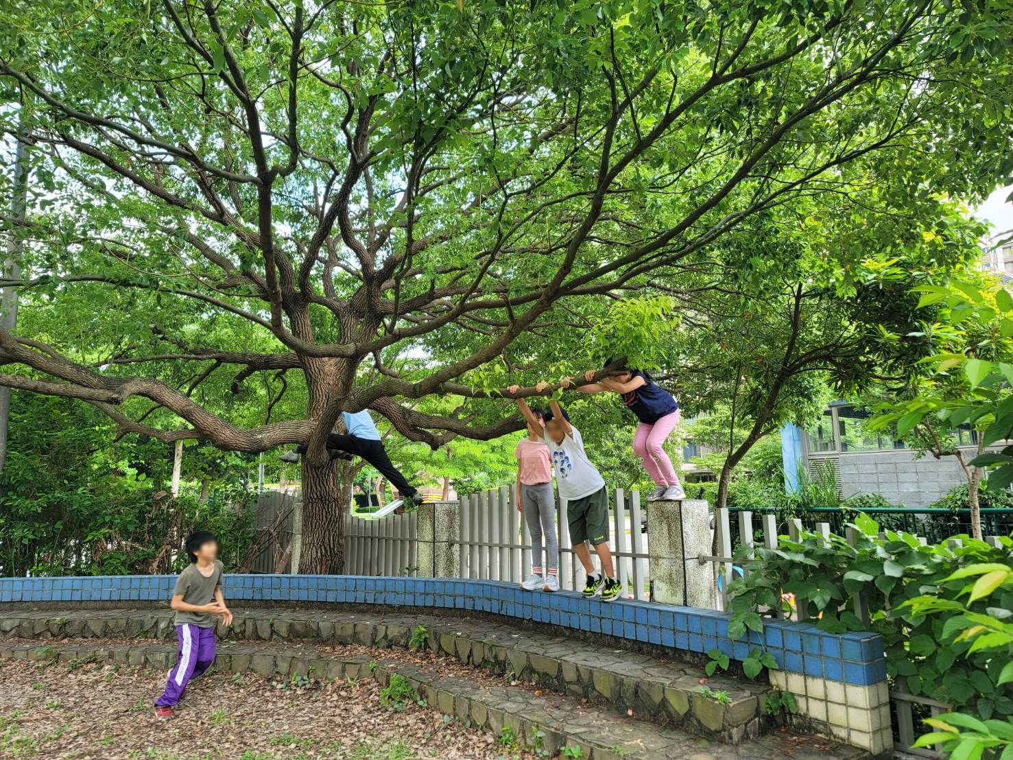 2026春夏學季 ※