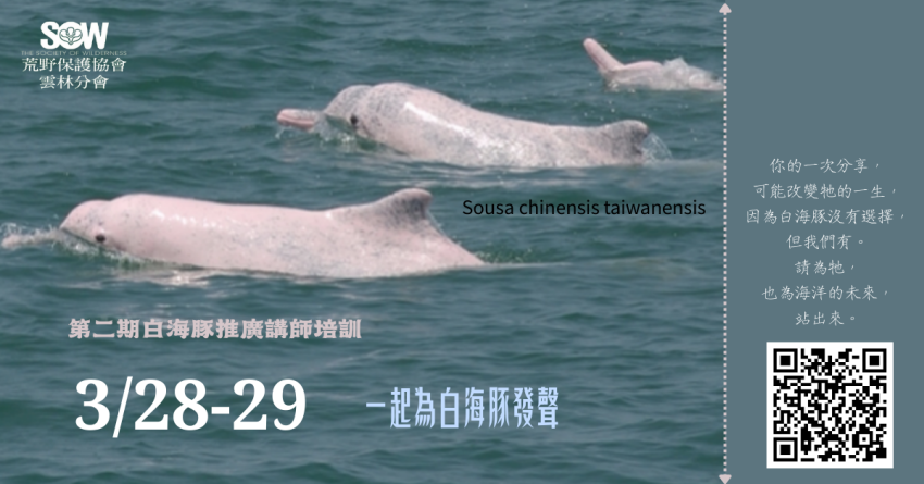 第二期白海豚推廣講師