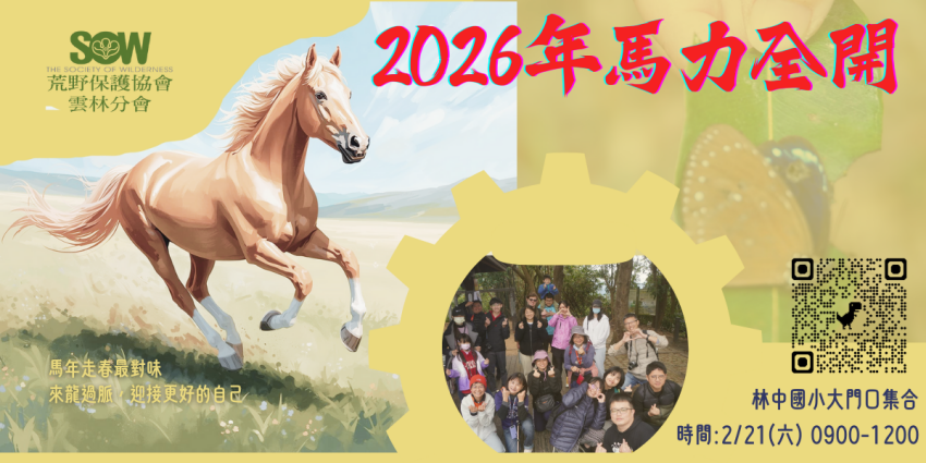 新年走春迎好運,龍過