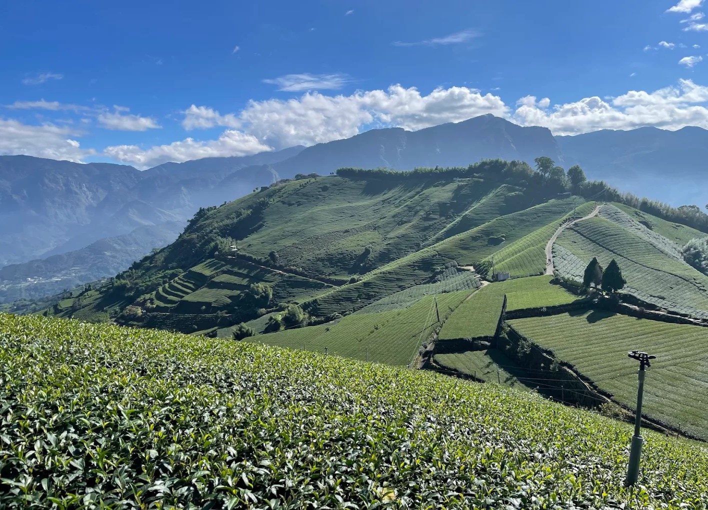 屏警登山會115年瑞太古道全程步道健行-05/30