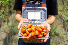 蘇澳地區農會四健會「