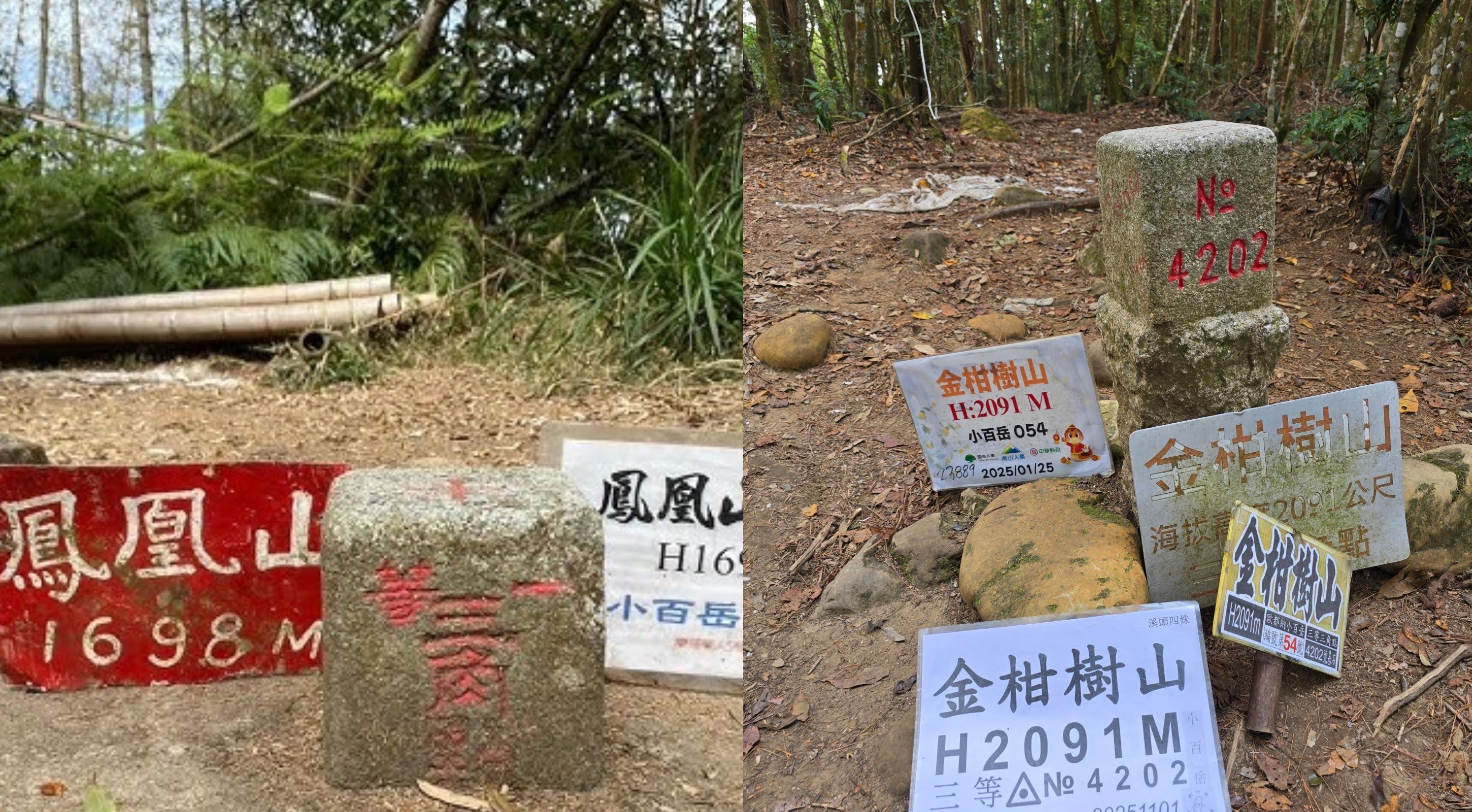 【新竹市健行登山協會】260418-2 金鳳縱走