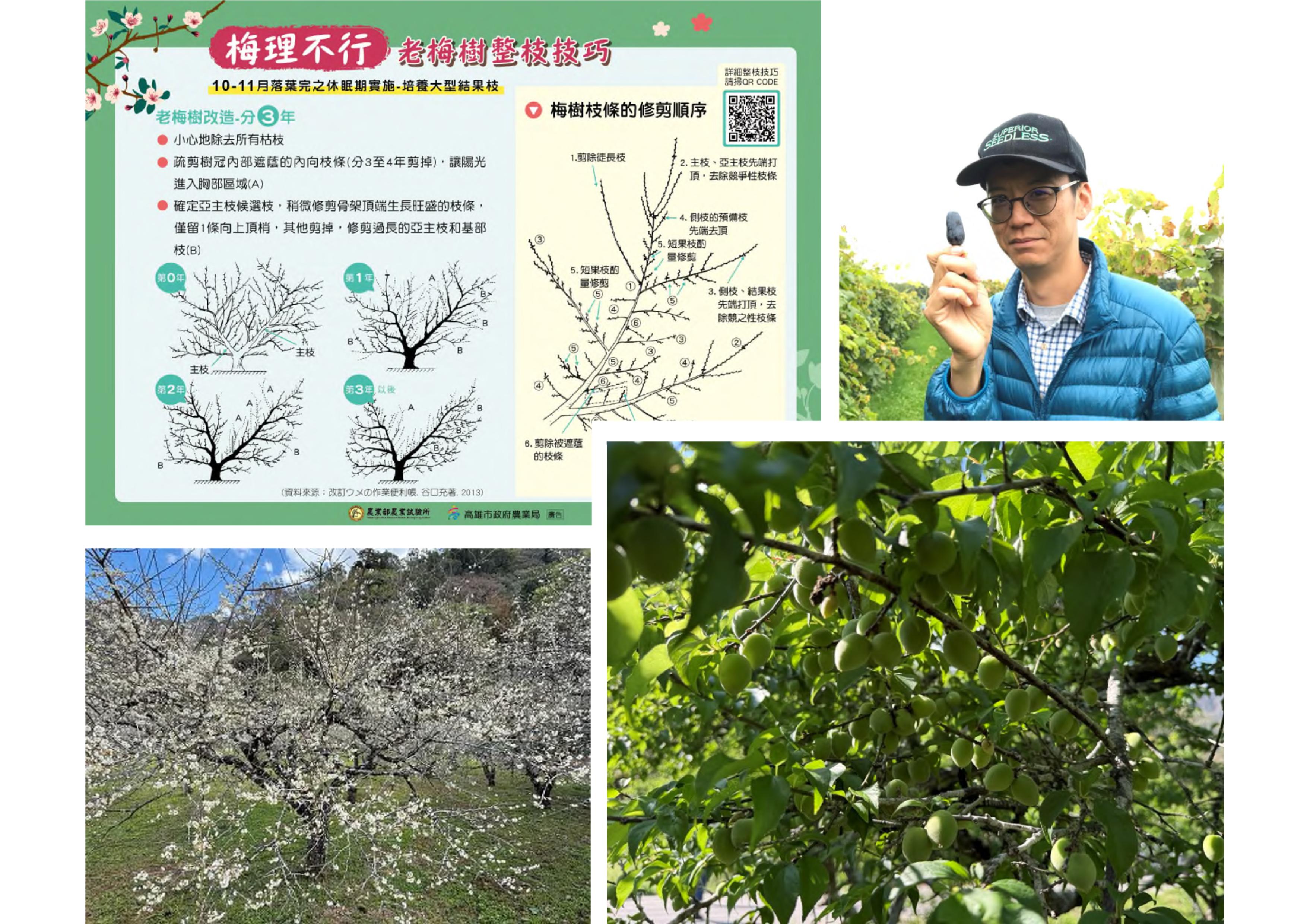 115年圓山綠化教室