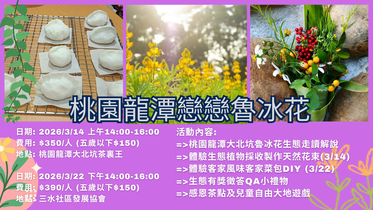 桃園龍潭戀戀魯冰花