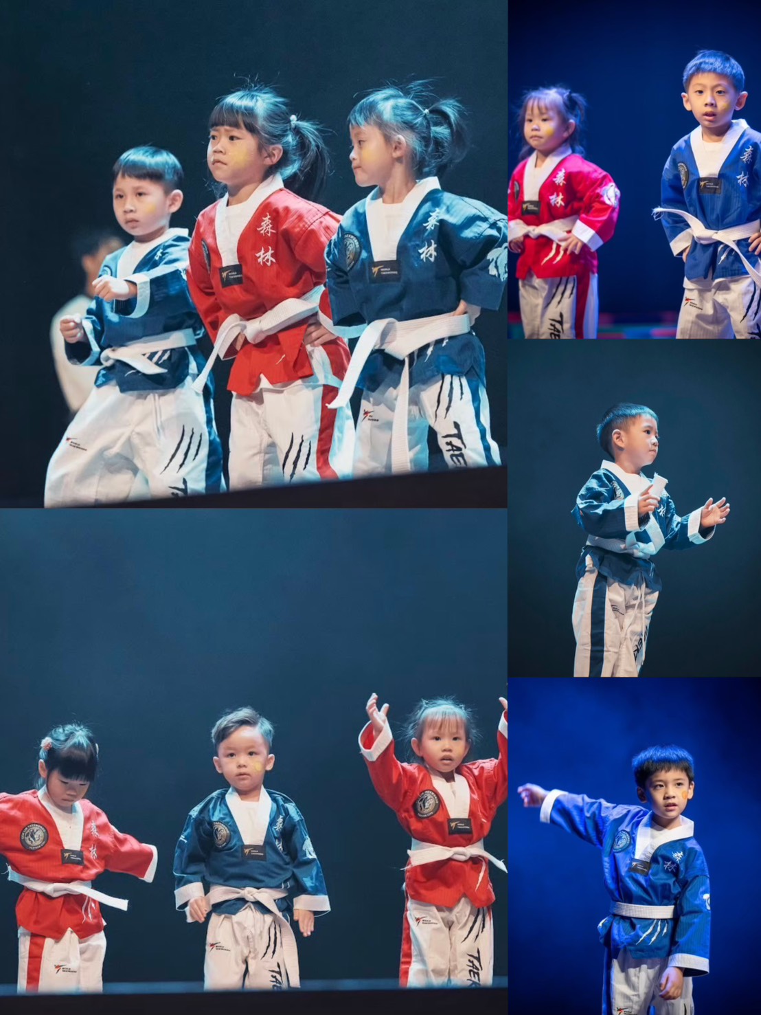 2026森林成果發表