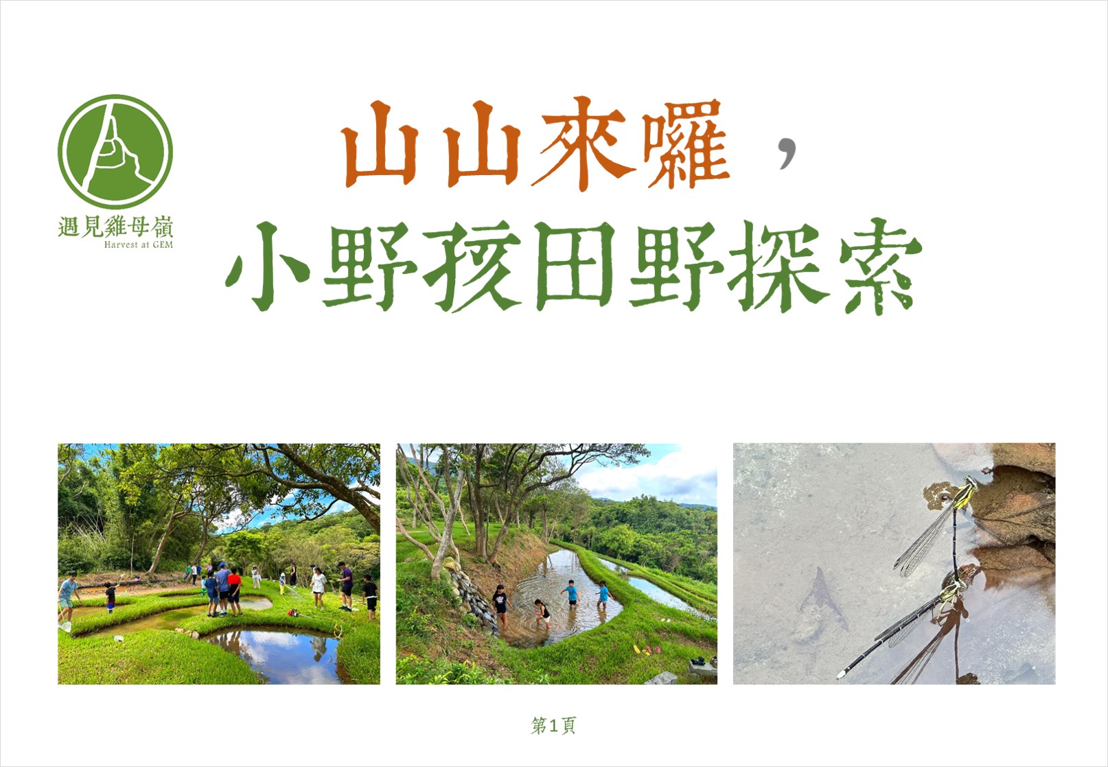 小野孩田野探索活動