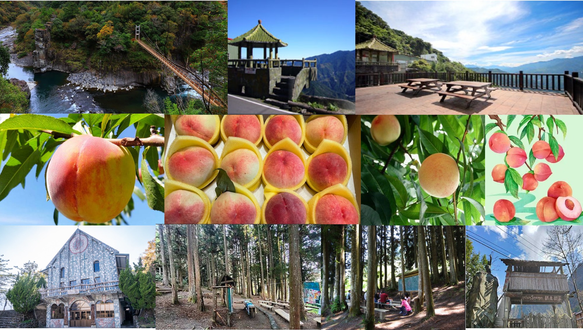 ７/４__$2200元起__高山水蜜桃季～秀鑾新光鎮西堡一日遊(報名截止日 5/15)